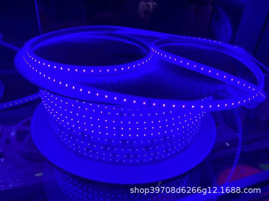 12V / 24V LED de bajo voltaje sólido silicona lámpara IP68 impermeable piscina submarina al aire libre 220V sin conducción image 14
