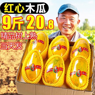 �V���t��ľ�����rˮ���̘���ţ�̕r����������l9��������]