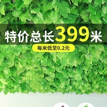 �ٗl�����~�bٻ������ܵ��p�@���پGֲ���픘��~���ϾG�~