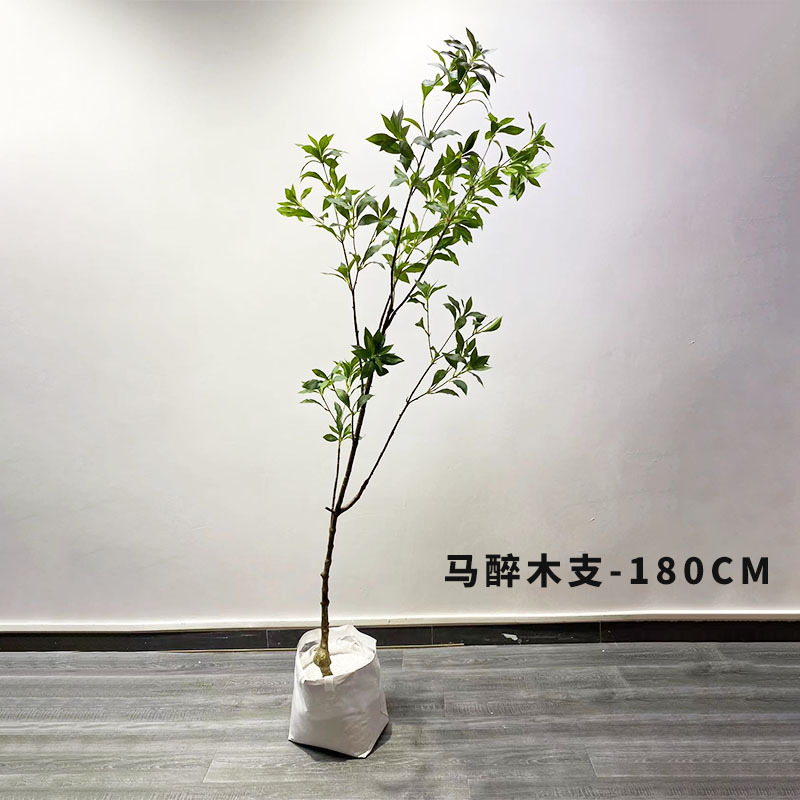 Artificial japonés borracho madera campana hoja árbol artificial sola gran rama planta verde planta maceta recepción ventana Decoración