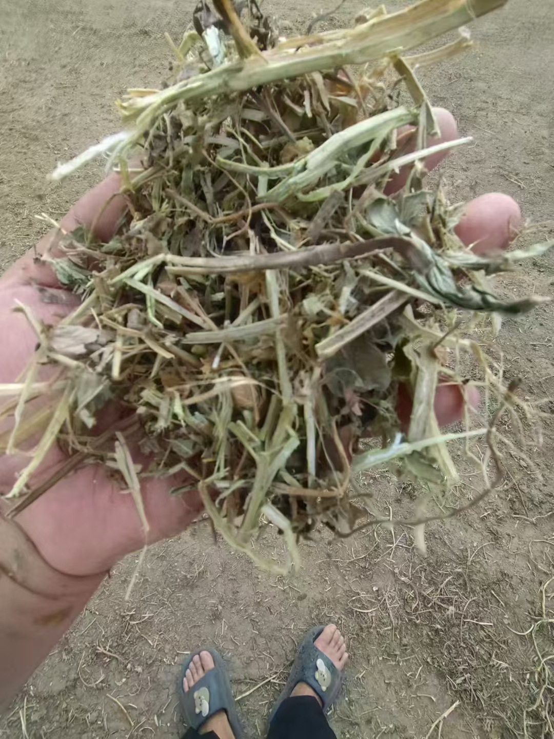 微信图片_20250714083641