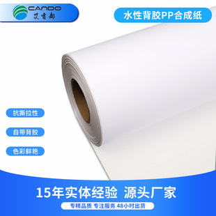 Shanfu Indoor Water-Based Pp Adhesive Synthetic Paper Inkjet Photo Wholesale Advertising Materials Promotional Display Equipment Posters