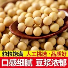 黄豆豆浆专用东北新5斤打批发农家自种笨土小黄豆发芽1斤