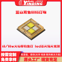 银锭科技 蓝白双色6065灯珠 40/60w大功率钓鱼灯 led芯片贴片光源