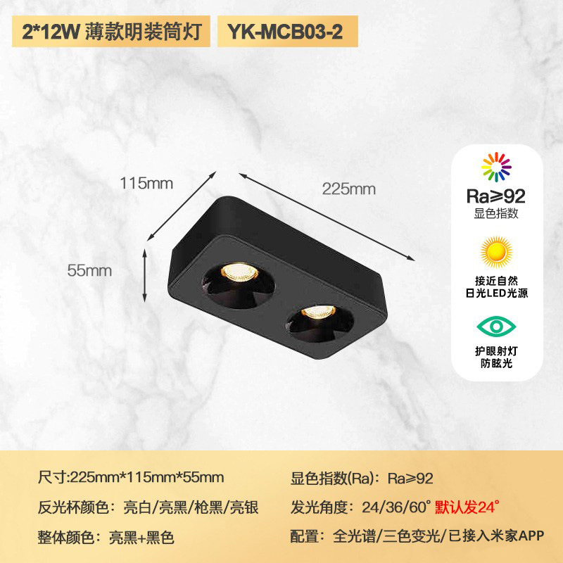 Double head 24w (all black model)