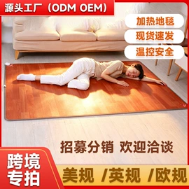 电热毯/垫;暖脚器;电热膜
