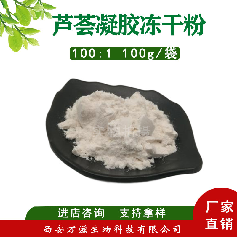 芦荟冻干粉 库拉索芦荟凝胶粉100:1库拉索芦荟凝胶冻干粉包邮批发