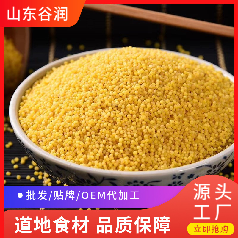 New Arrival Cooked Yellow Millet 500g for Porridge, New Yellow Rice, Shanxi Specialty, Farm Rice, Whole Grain Postpartum Rice, Mixed Rice