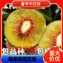 һltꖫJҘtϱĴѽԼ޽ͺ