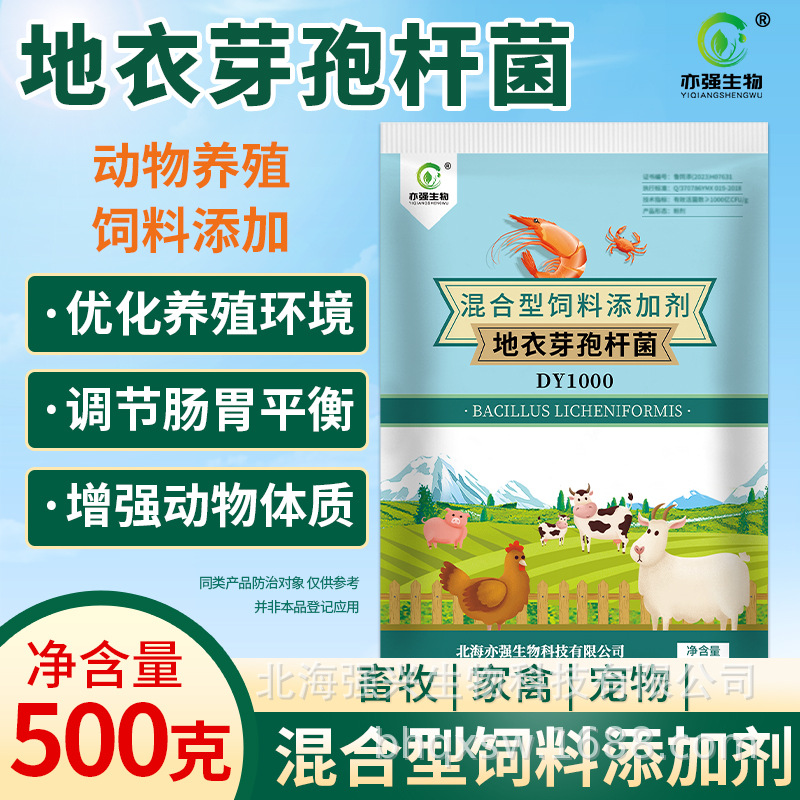 1000亿/克水产养殖地衣芽孢杆菌提善动物肠道消化畜禽养殖专用菌