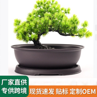 ����ɰ�E�A�λ��� ����ƴ�P���� С����С�辰���ϻ��� �͹Ż���