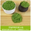 Green, 10 gram