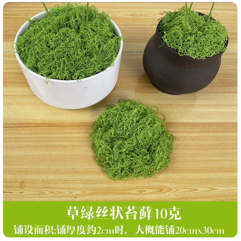 Simulación de césped de seda de musgo, paisaje de musgo biónico, plantas verdes, bonsai, pavimento de paisajismo, decoración de musgo falso, césped falso