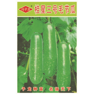 �T�����N�繫˾ֱ�����������طNֲ�߲˷N��  ������̖ë����