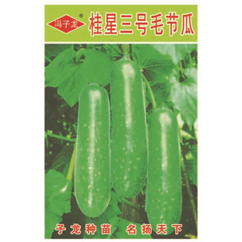 冯子龙种苗公司直售批零大田基地种植蔬菜种子  桂星三号毛节瓜