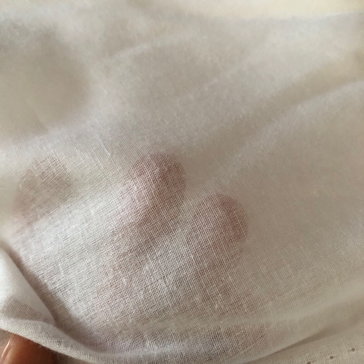 現物は9088純綿の布地を供給しています。