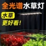 迷你观赏增艳led水草灯