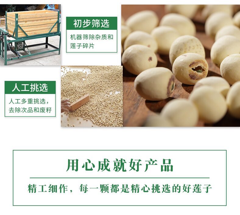 Dried Lotus Seeds with Core Bai Lian Zi 500g Wild White Lotus Seeds for Soup and Tea quality and texture