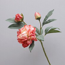 �������ĵ�� ���^����¶ɏ �Ҿ��b��滨 �Ƶ�ǰ̨�bٻ�
