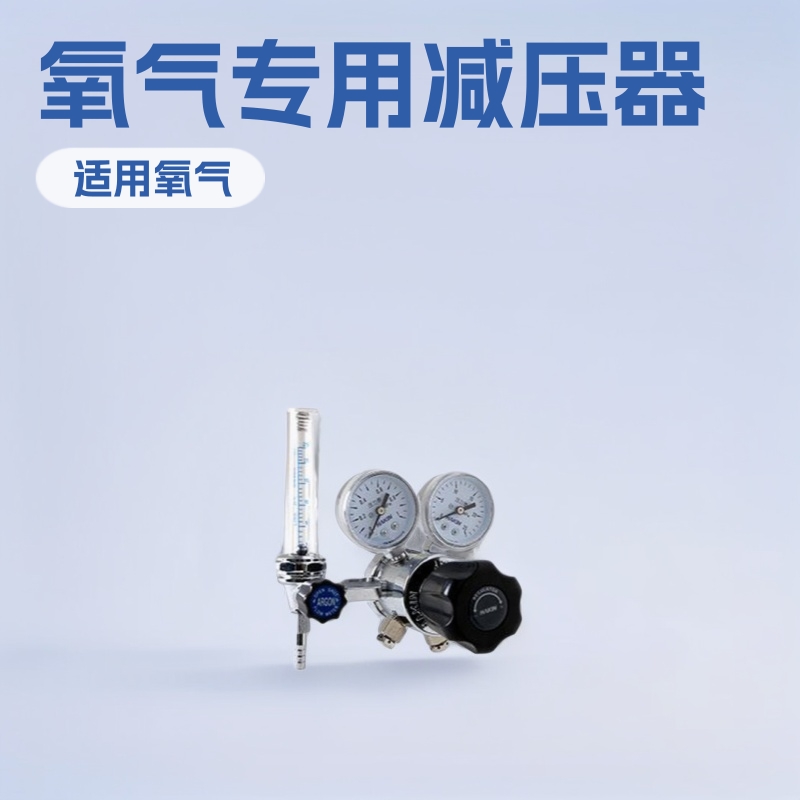 195TC-25L氮气减压器 195TC-25L氢气仪器仪表小型用设备厂家