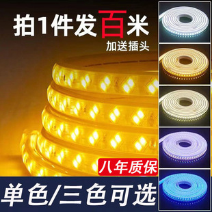 Led Light Strip for Living Room Ceiling Ambiance, Three-Color Changing, Dimmable, Household 220V, Outdoor Super Bright, 100m Roll Factory
