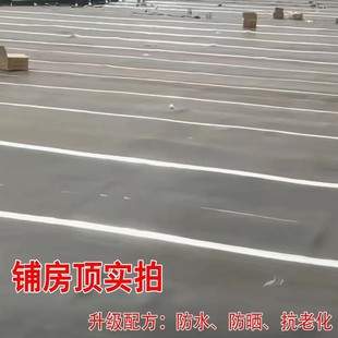 Roof Leak-Proof Rubber Cloth Lightweight Conveyor Belt 5mm 8mm Widened Whole Sheet Without Splicing for Laying Carriages with Cloth Rubber Pads