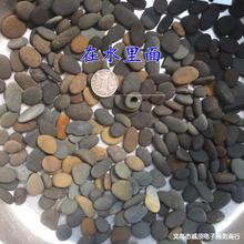 水族鱼缸造景装饰底砂 铁胆沙黑工沙熬虾专用沙黑胆沙黑工砂鱼缸