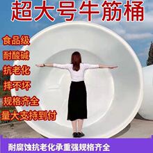 ʳƷ���Ӻ�ţ�����ψAͰ���ˮͰ���Ͱ����Ͱϴ��Ͱ�l��Ͱ����Ͱ