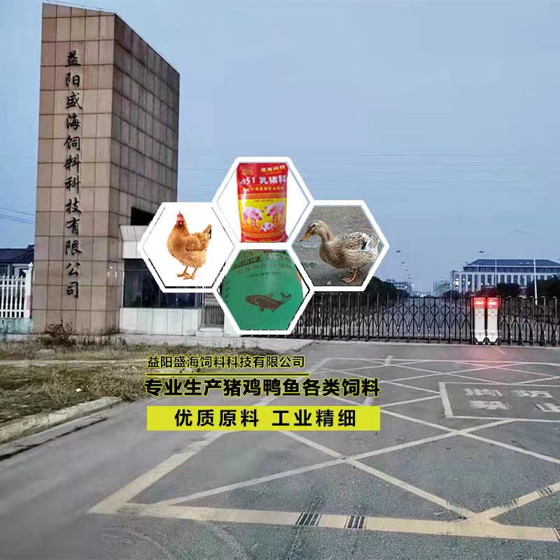 a8b4e9b40dcd94b9a9a0855ec99e4d