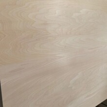 ľľppƴp幤ˇƷzϰӰ弤иðƯװ