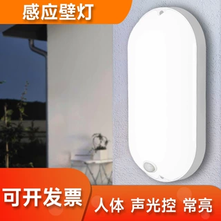 LED防水户外楼梯走廊过道三防智能红外人体壁灯雷达声光控感应灯
