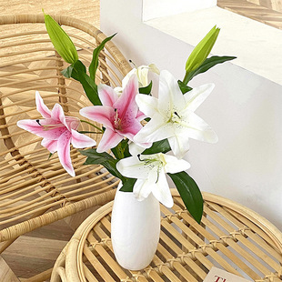�����zƬ�ָ��L֦��ٺϷ��滨�ٻ��Ҿӿ͏d��c�[���bzӰ����