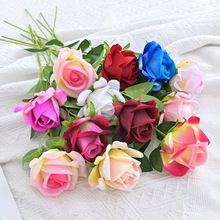 ���l����q����֧ˮ��õ ���ՔzӰ�ٲ�õ��Ҿ��T���b�Ψ���ٻ�
