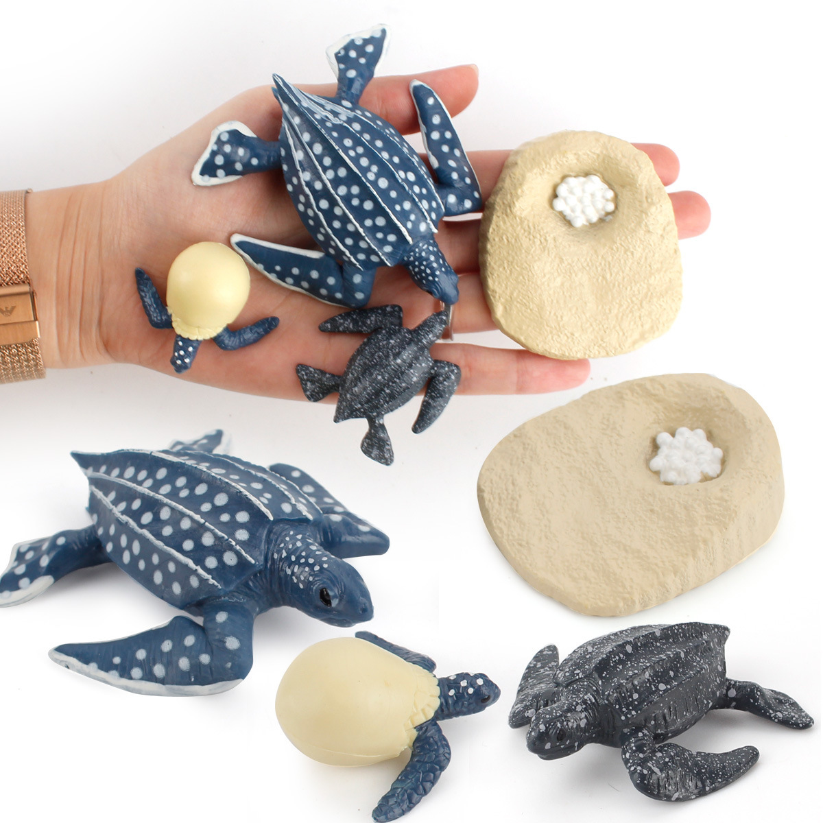 Exportación transfronteriza Simulación infantil modelo animal marino Tortuga cocodrilo pulpo ciclo de crecimiento educación temprana juguetes cognitivos