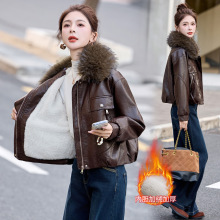 2025�¿��ȫƤƤ��Ů�̿��ﶬ���ӽq�n����|�C܇����A������