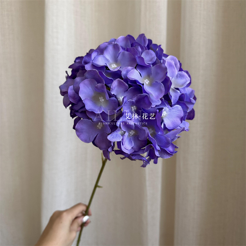 보라색