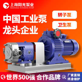 【定制】LQ型转子泵 凸轮转子泵 不锈钢转子泵 阳光泵业