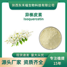 异槲皮素98%槐米提取物Isoquercitrin异槲皮苷罗布麻甲素100克/袋