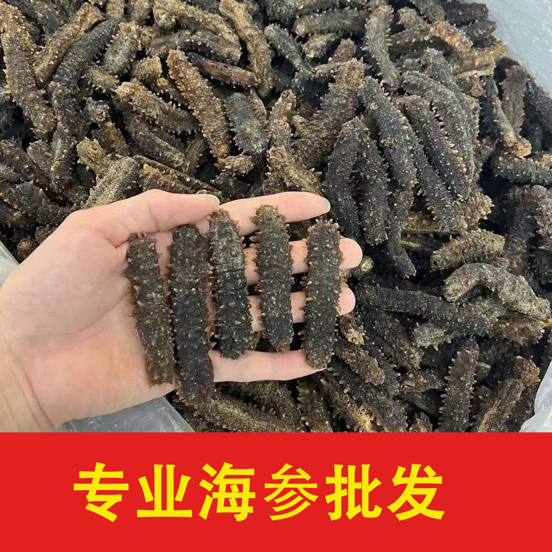 黑刺参刺王参海参干货批发印尼刺王参淡干海参干货 厚肉 产地直销