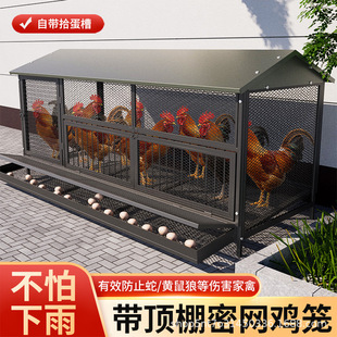 �u�\�ӵ��u�Bֳ�\�҃����̖�����B�u�\���B�u�����ܷ��S�����u��