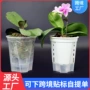 青山跨境透气透明底座