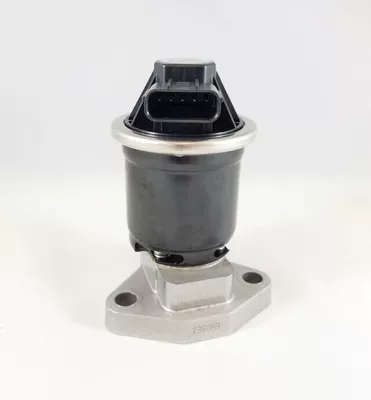 Other starting systems gas recirculation valve