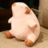 Cartoon glutinous rice, plush toy, children's doll, appeases pillow, with little bears