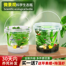 手提生态瓶观赏鱼微景观DIY鱼缸活体鱼淡冷水槽鱼虾真水草免打理