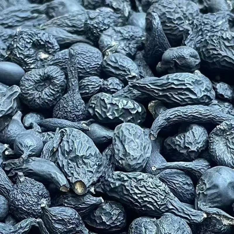 Wu Ling Shen (Xylaria nigripes) — Dried Medicinal Fungus, 50g Food Herb quality and texture