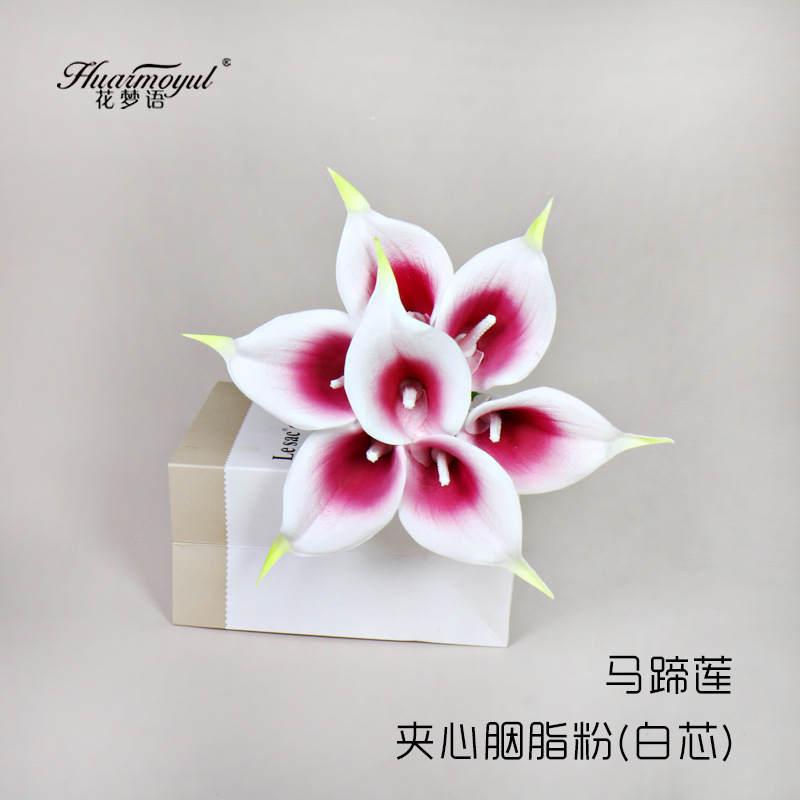 칼라 릴리 샌드위치 루즈 파우더 (화이트 코어)