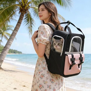 ����������͸��؈�ճ������ñ�y���p������ṷASGONY������ֵ