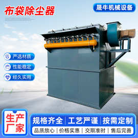 脉冲布袋除尘器 车间除尘器中央除尘设备钢厂粉尘收尘器厂家