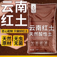 �t��΢�������������FԪ���S���t�����{ݮ�����辰��������