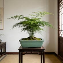 ���d���������R���մɻ�����ô�̖�Gֲ��������m����S��ֱ�N